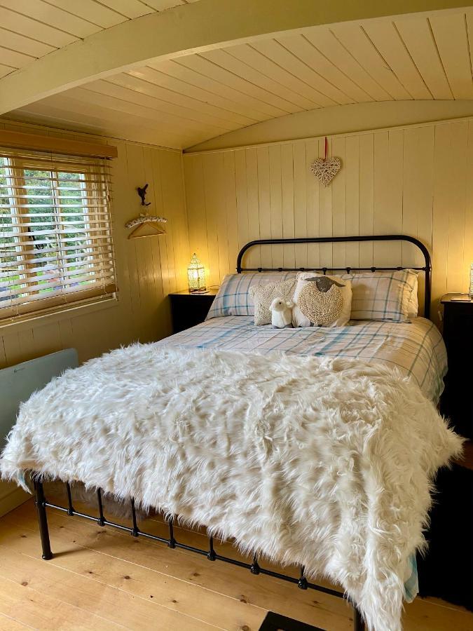Fourwinds B&B March Buitenkant foto